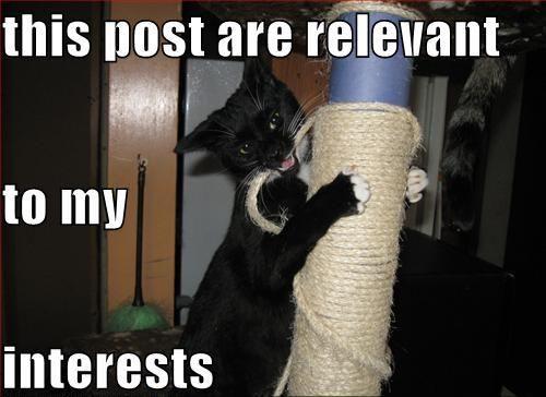 All I know is I’m lost without you….