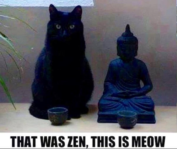 I don’t wanna waste another&nbsp;day….