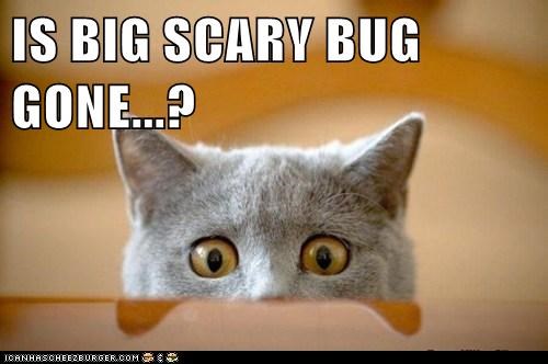 Lights will guide you home and ignite your&nbsp;bones…..