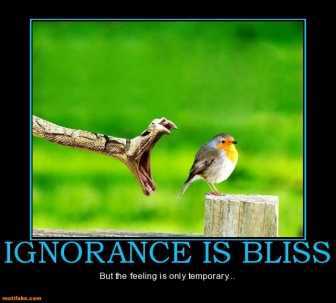ignorance-bliss-bliss-feeling-ignorance-snake-bird-demotivational-posters-1361407042