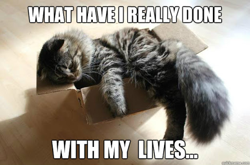 I reflect on my reflection…..